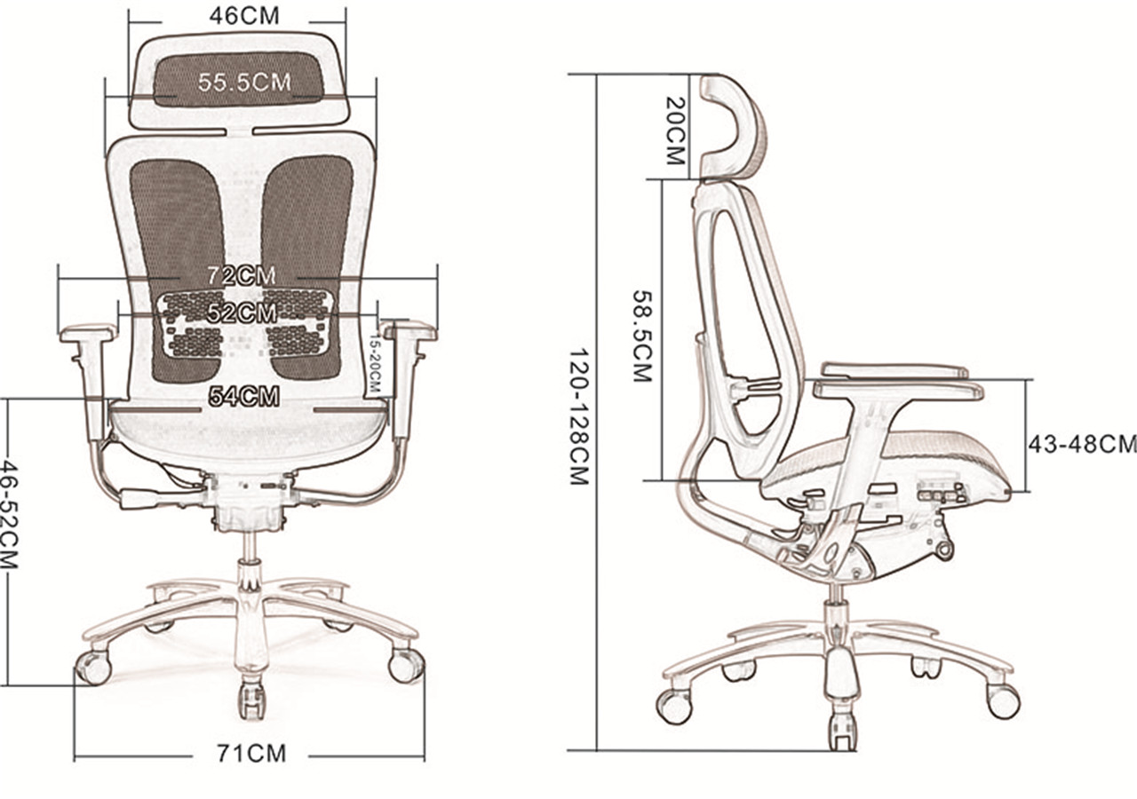 Ergonomic Office Chair with Lumbar Support Back, Adjustable Headrest (2)